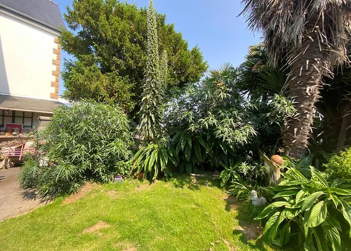 Cottage Boheme - Voyageur Solo - Jardin Partage