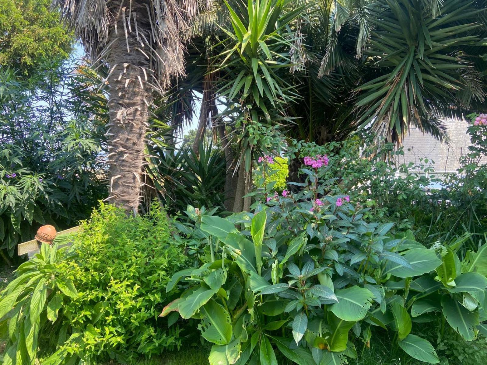 Boheme - Voyageur Solo - Jardin Partage Lodge Perros-Guirec